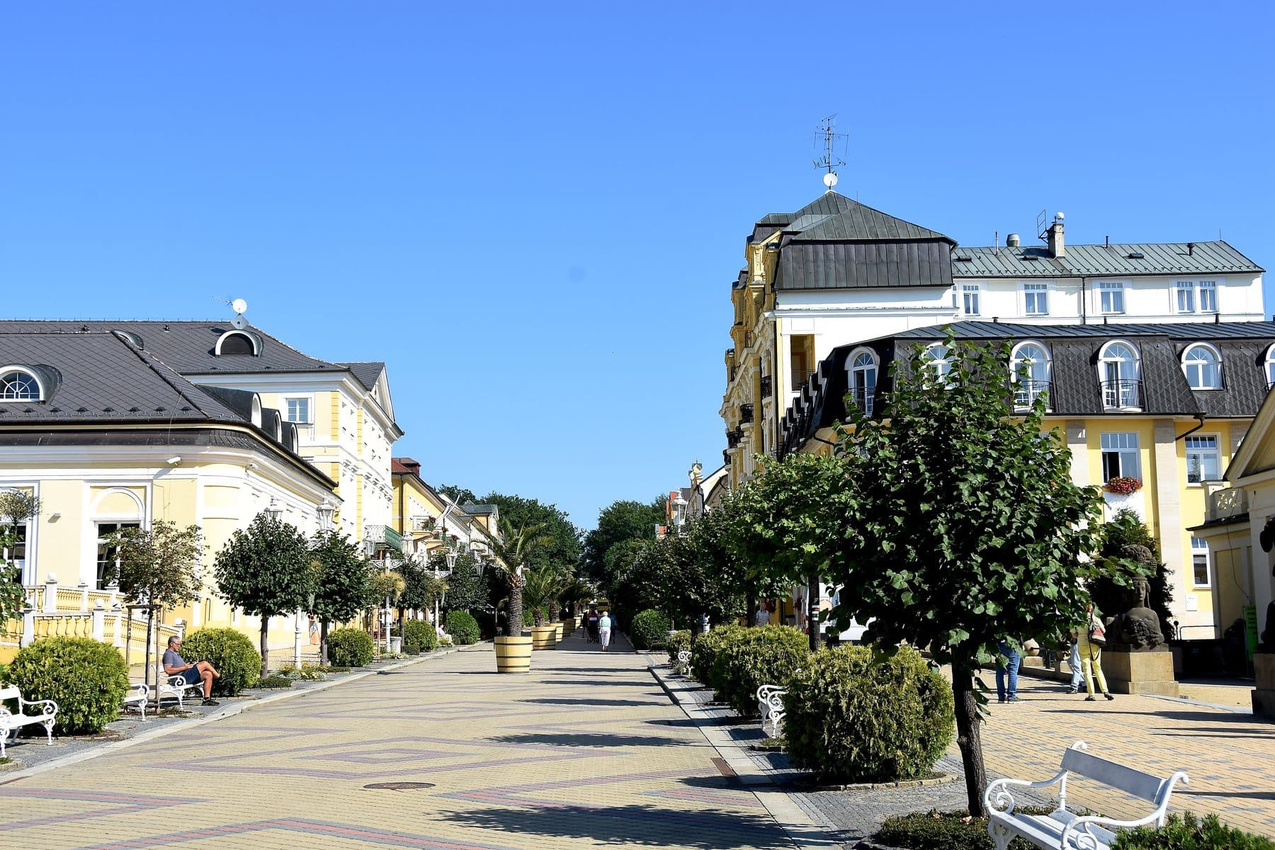 Baumgesäumte Promenade in Karlsbad