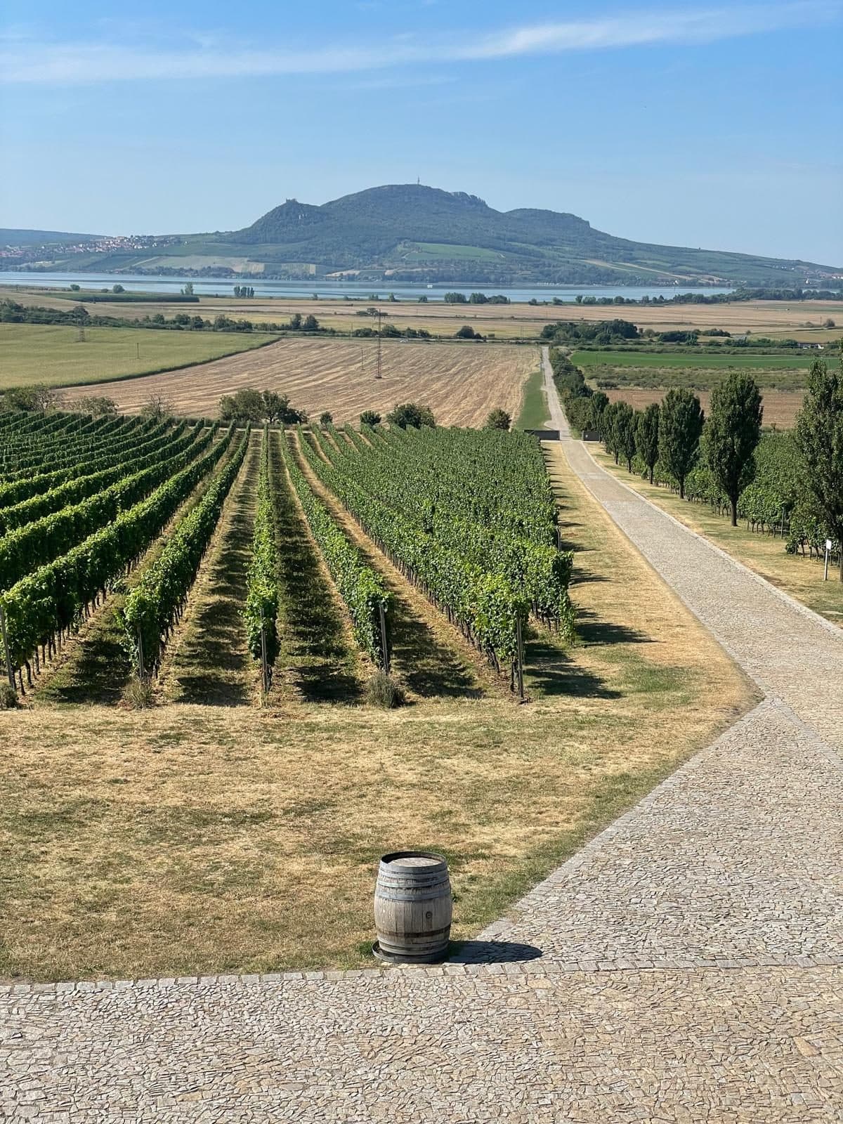 Holzfass im Weinberg mit Blick auf die Landschaft
